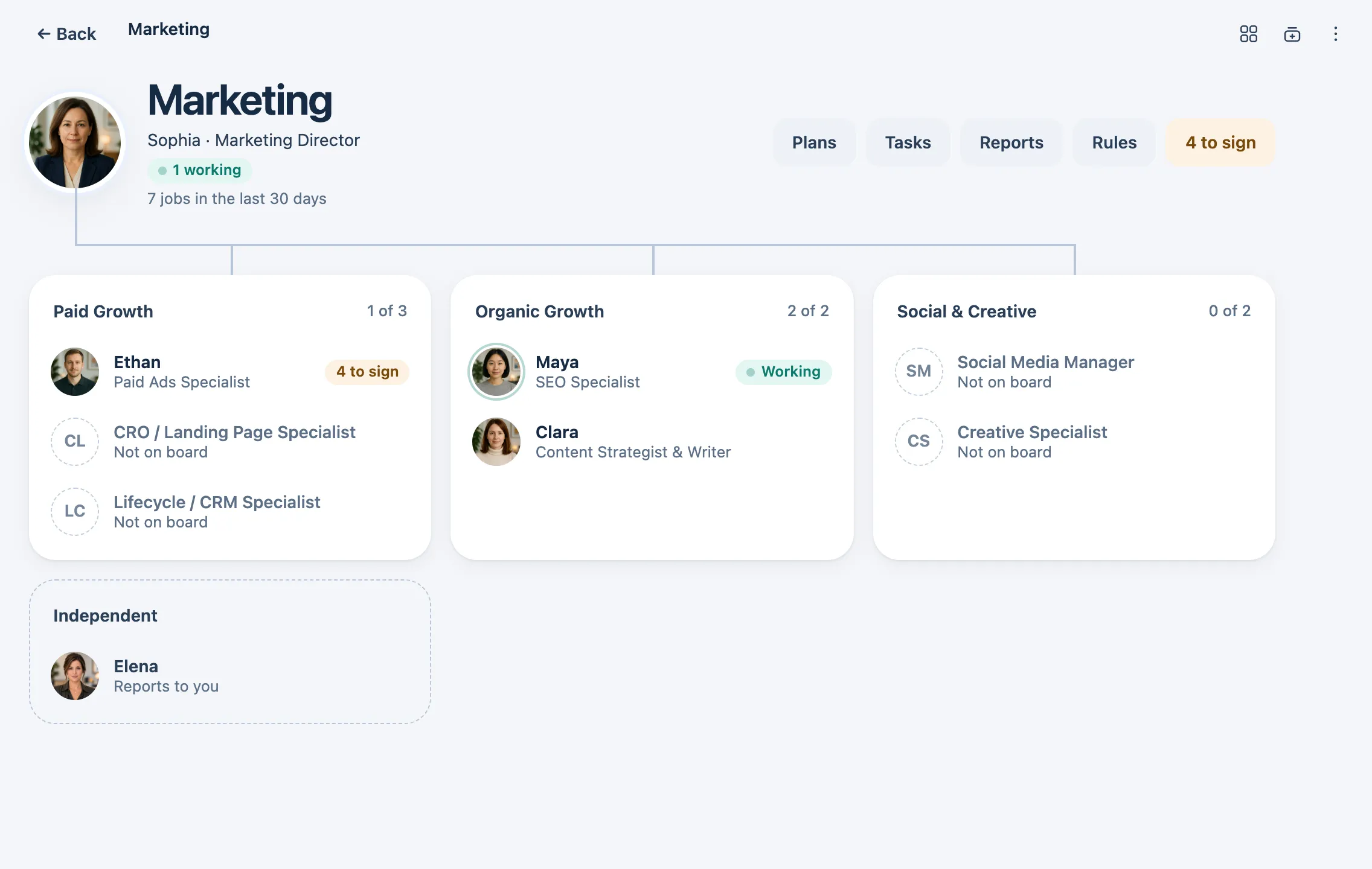 The Marketing department: the Marketing Director above the Paid Growth, Organic Growth and Social & Creative teams, and the independent auditor who reports to the owner.