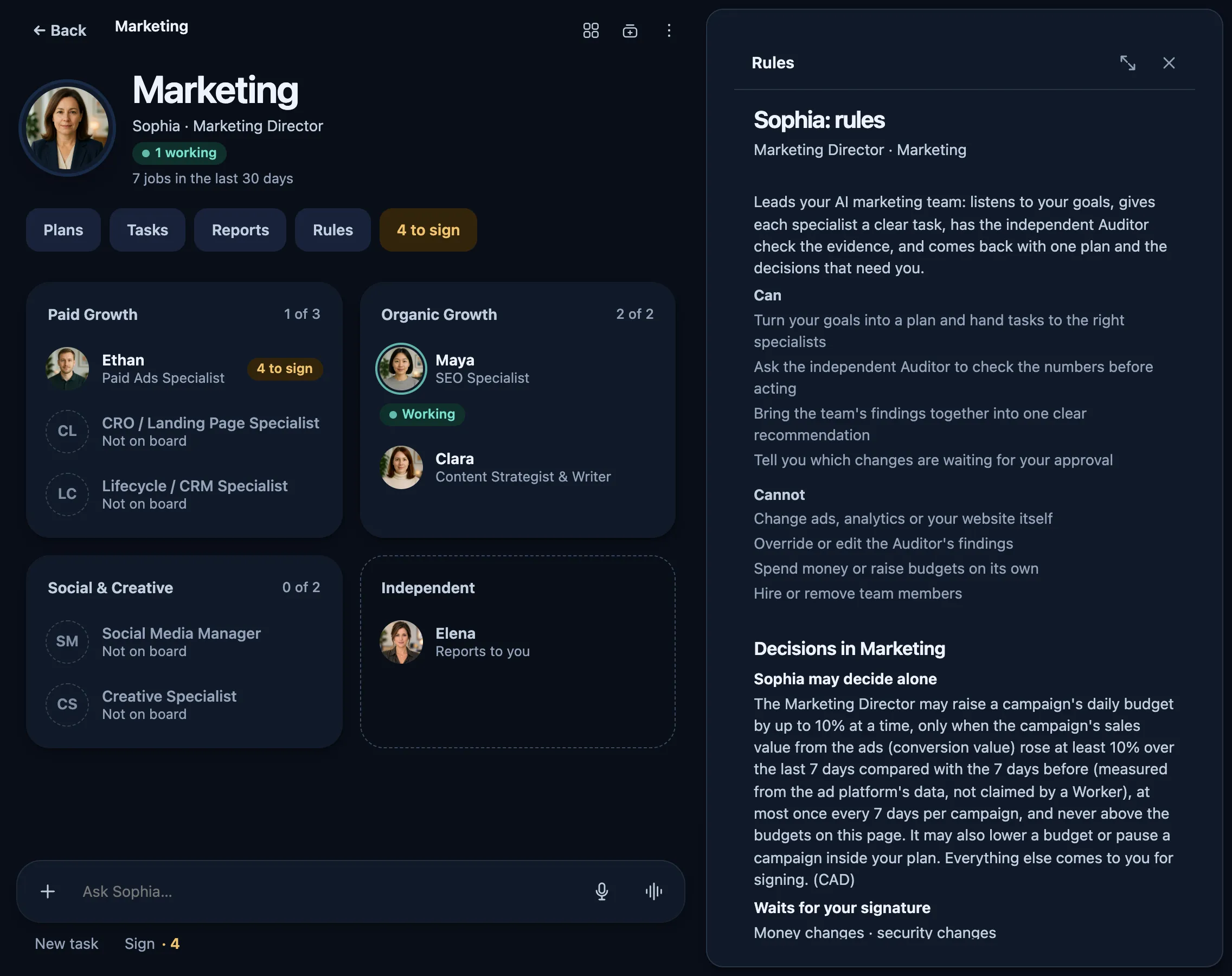 The Marketing Director's rules: what the Director can and cannot do, the decisions the Director may take alone, and what waits for the owner's signature.