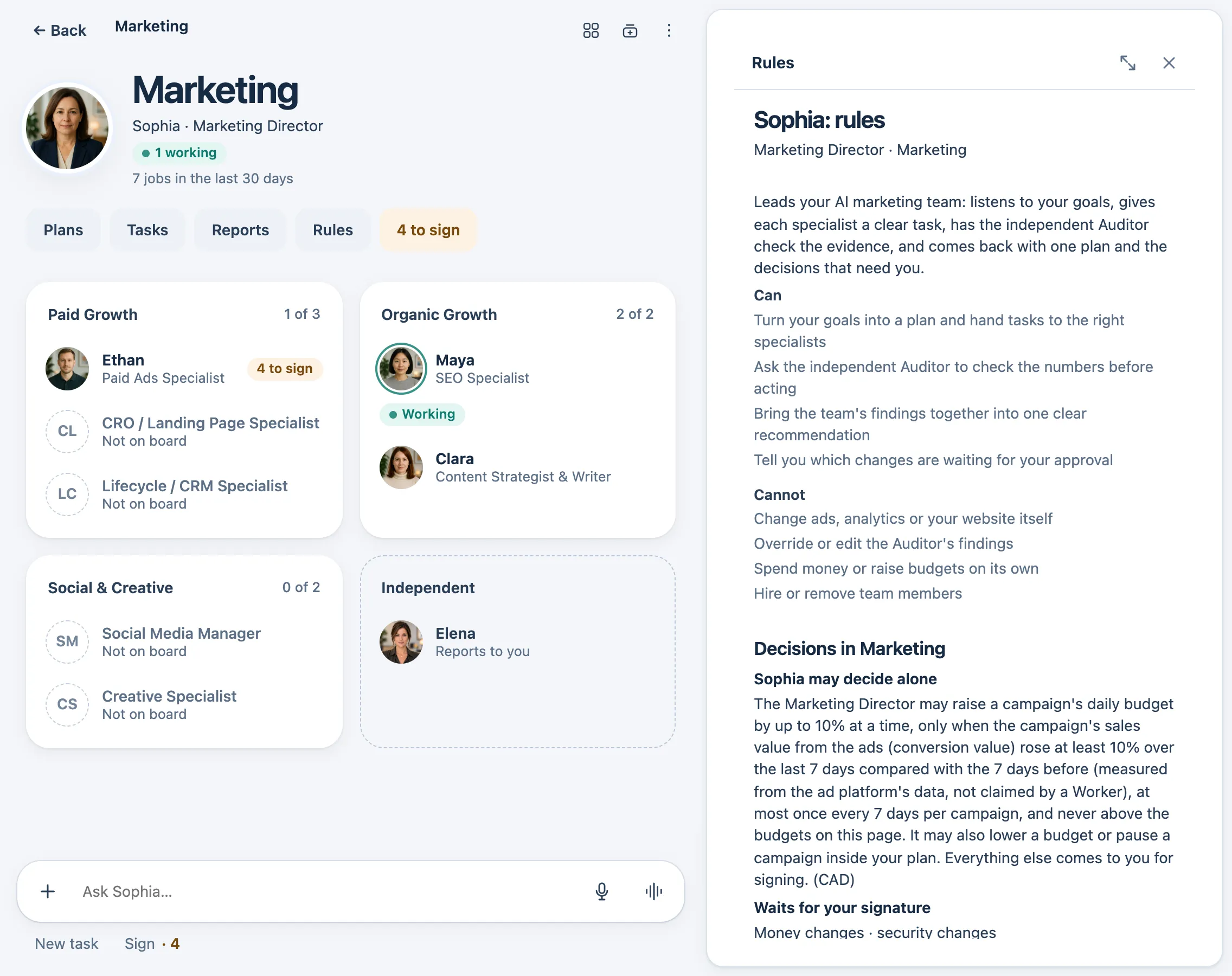 The Marketing Director's rules: what the Director can and cannot do, the decisions the Director may take alone, and what waits for the owner's signature.